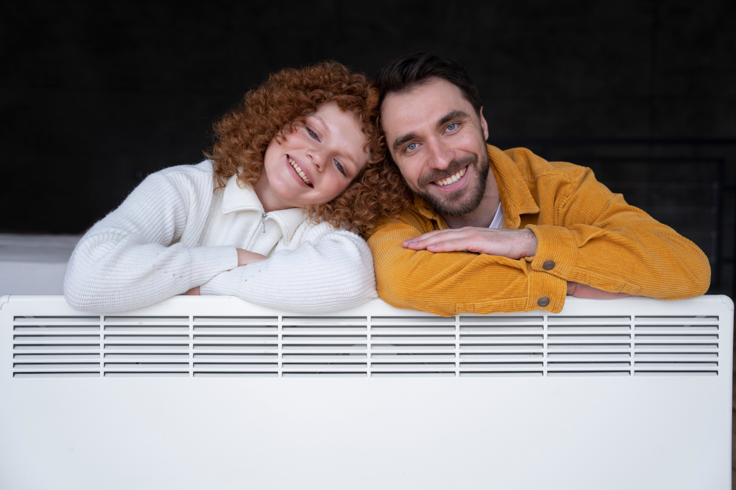 Go Ductless Inc. | Ductless Heat Pump Rebates in Ontario: What's Available in 2026? ductless heat pump rebates Ontario